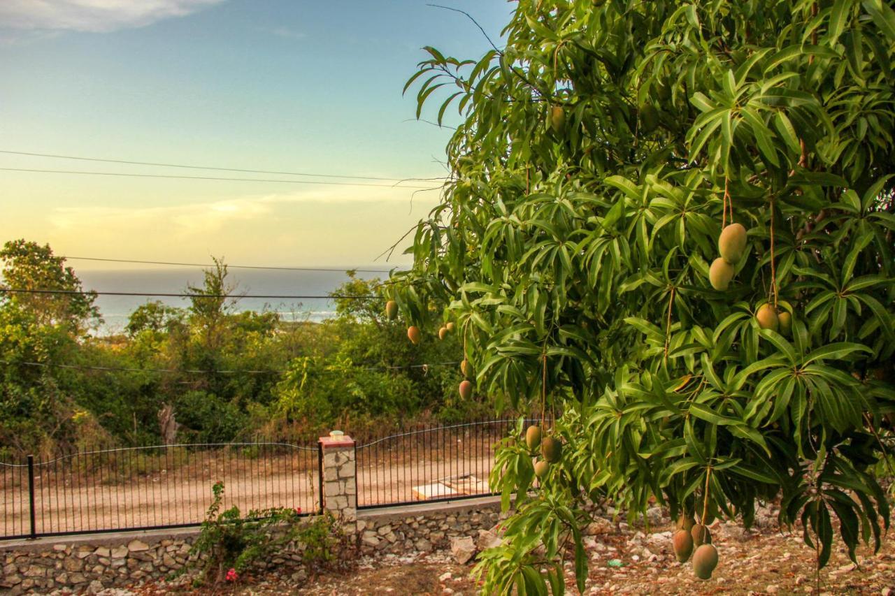 Sunshine Lodge: Your Home Away From Home Монтего Бей Екстериор снимка