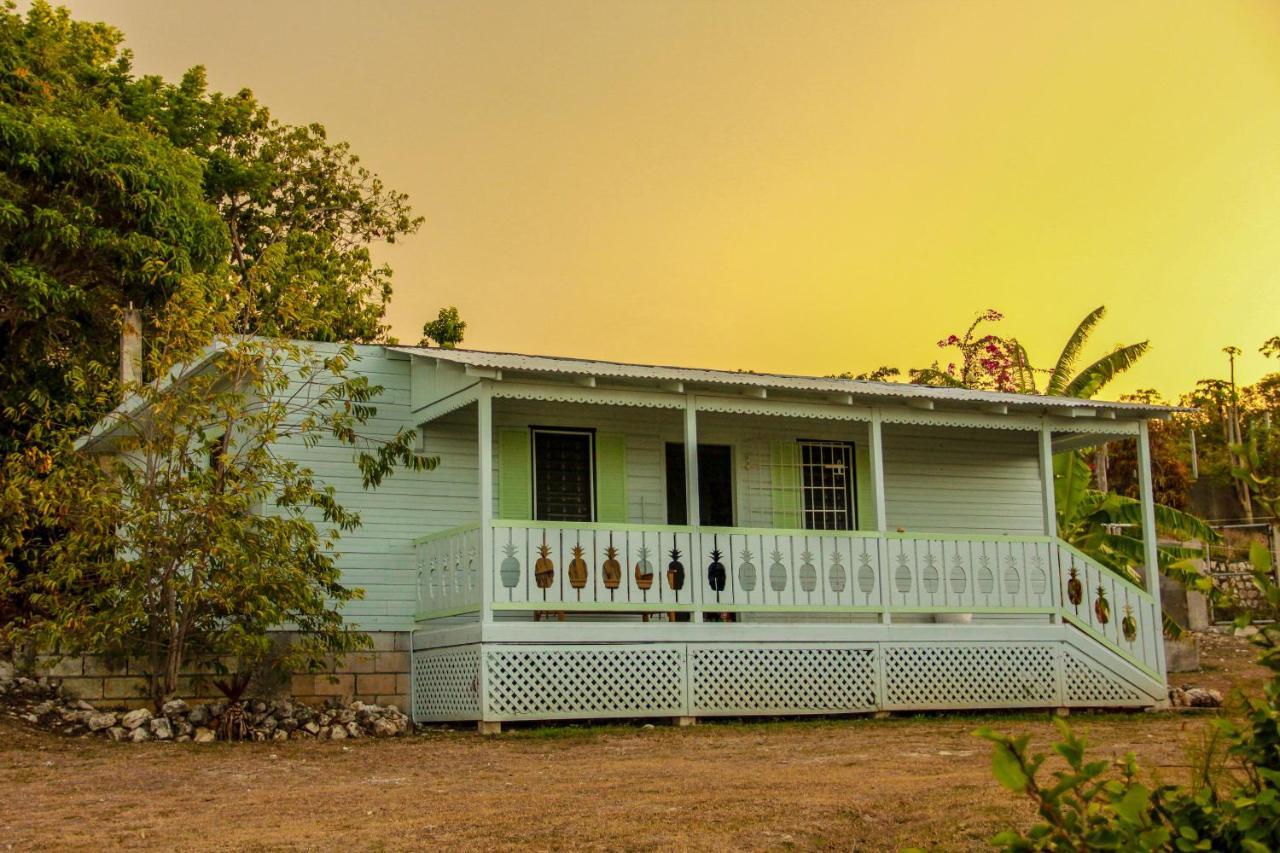 Sunshine Lodge: Your Home Away From Home Монтего Бей Екстериор снимка